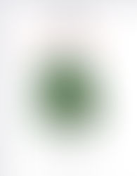 Zoom Christmas Concert