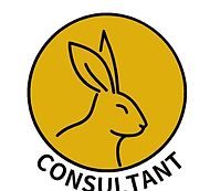 rabbit_C0001.png