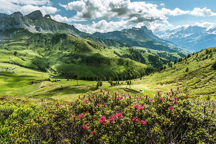 schaechentaler-hoehenweg.jpg