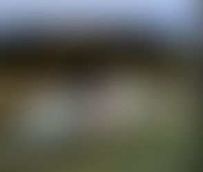 Rollovers - SAFETY ABOVE ALL