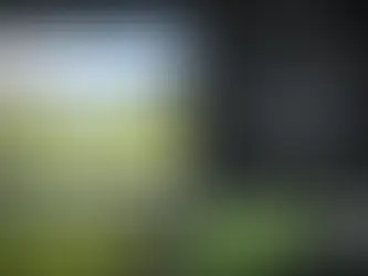 Impact Screen Versus Netting: Which Fits?