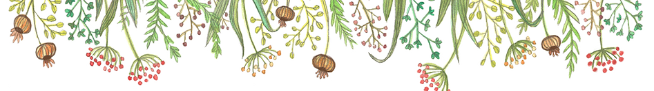 WIXbande-de-fleurs--transparent.png