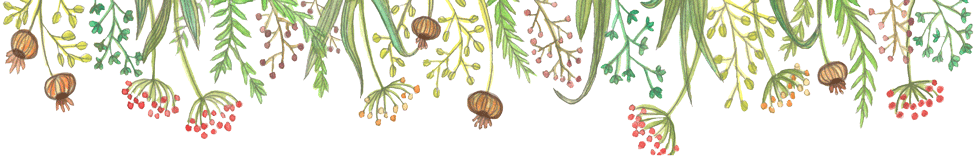 WIXbande-de-fleurs--transparent.png