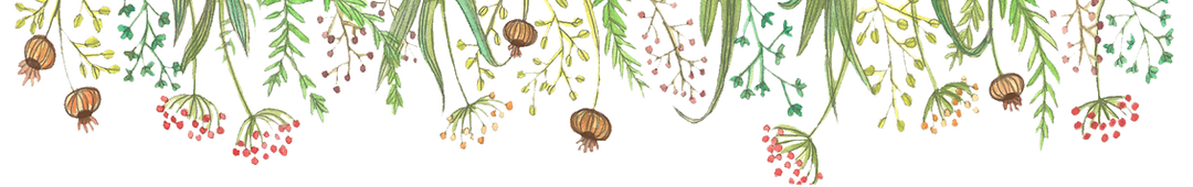 WIXbande-de-fleurs--transparentnew.png