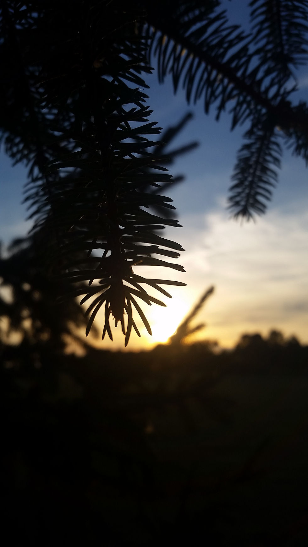20150807_200756