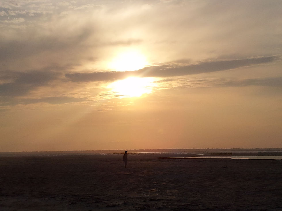 OBX