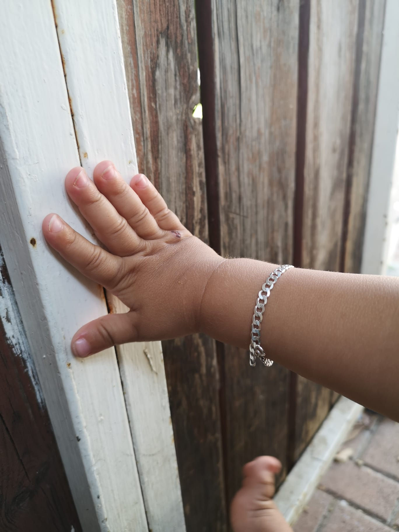 הגורמט הראשון שלי