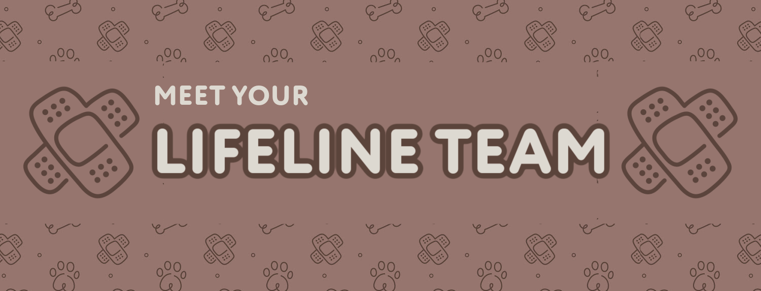 Website Header (1).png