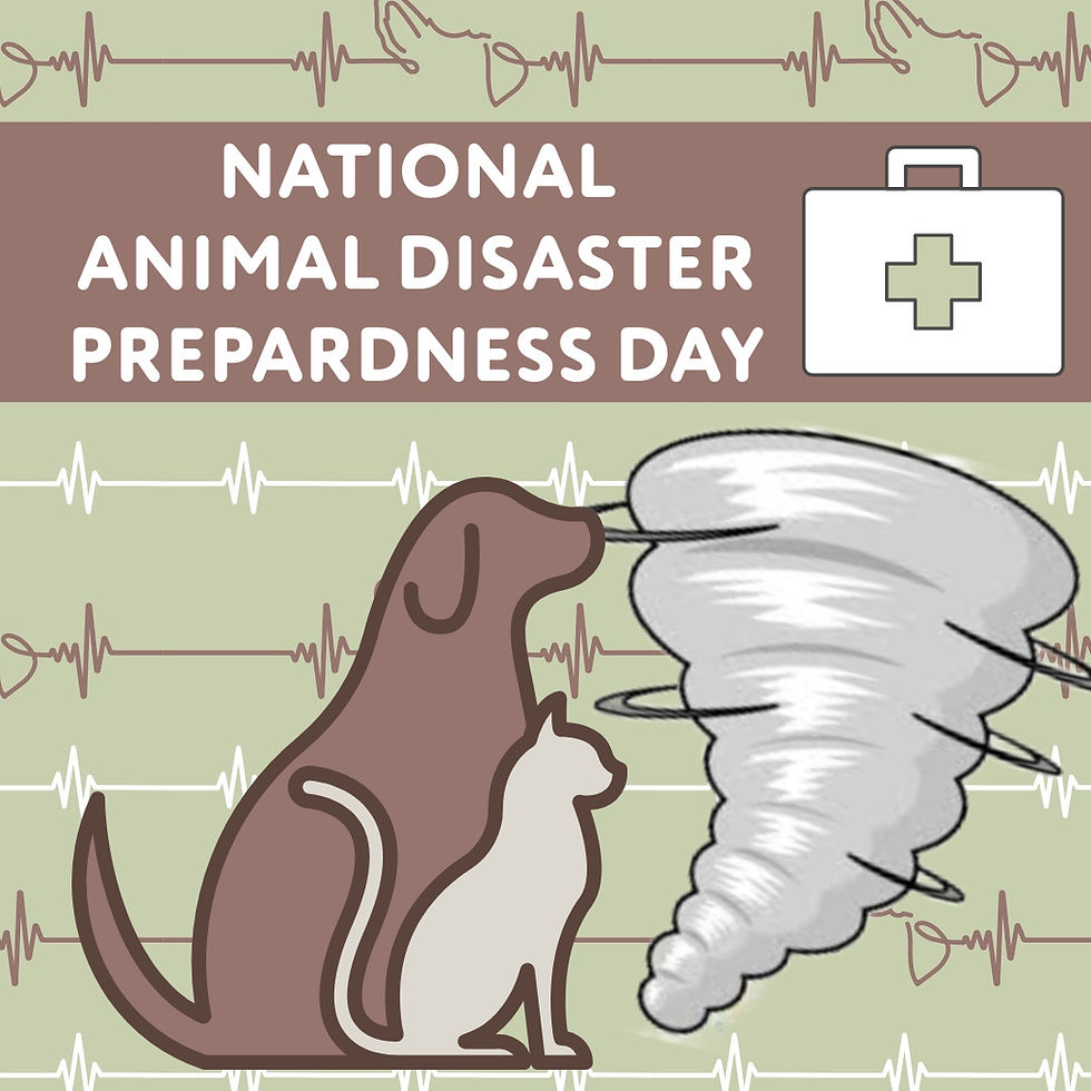 National Animal Disaster Preparedness Day: Protecting Your Pets During Tornado Season