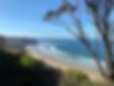 IMG_0058.jpeg