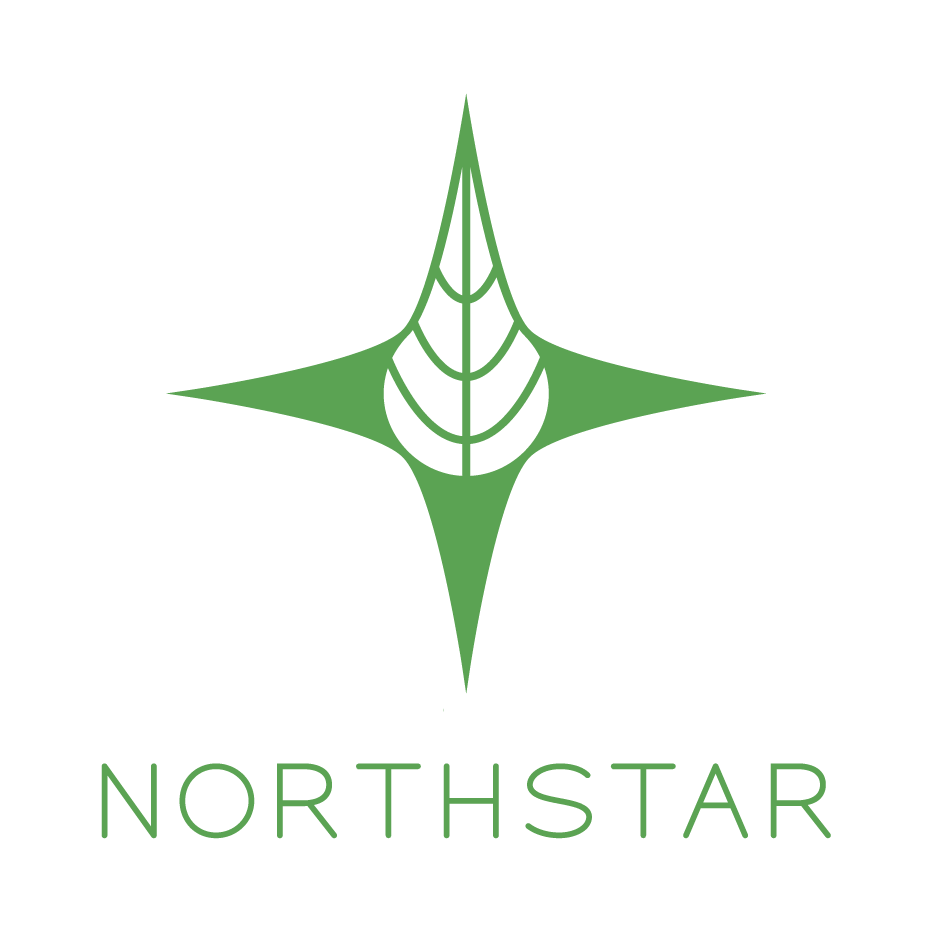 Writer: Northstar Team