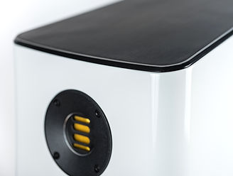 ELAC Vela FS 409-2 Details-5.jpg