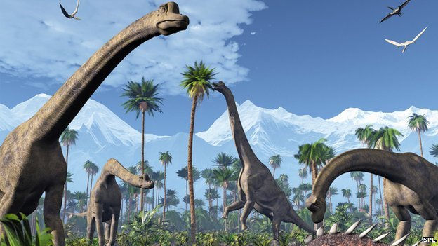 Herbivores