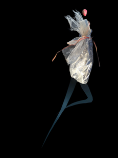 Œuvre de Peer Dalbruna
intitulée La mariée est en fuite exposée à la Galerie d'art contemporain ‘The Muisca’ à Paris