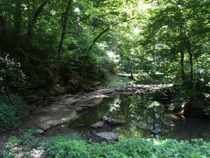 Nature Trail at Park.jpg