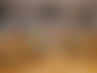 Clarkson to upgrade city vehicle for snow response