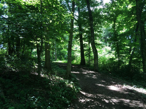 Nature Trail 2.jpg