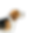 111595463_l_edited.png