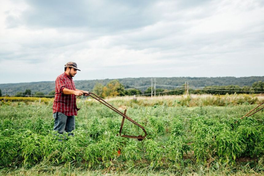 agtech-small-farming