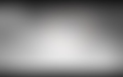 【消失中的淺山精靈 台灣國寶-山貓或番貓】20多年來首次!彰化八卦山脈觀測記錄到石虎出沒〔2017-11-29〕