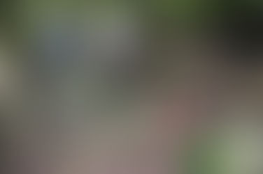 7百年歷史南仁山石板屋遺址 早年傳說是矮黑人居住 後來釐清為早期排灣族家屋 評估開放文化導覽 解說台灣先民歷史〔2015-12-02〕