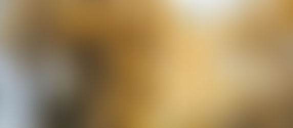 【水水的故事】彰化二水黃花風鈴木新秘境「坑內坑森林步道」 當地居民進行螢火蟲復育「火金姑築巢計畫」 〔2015-03-08〕