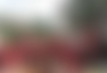 【取經紐西蘭毛利大學、催生台灣設立第一所國立南島大學】全國第一所原住民實驗小學 博屋瑪國小正式揭牌「如果失去文化、語言,就如同生命沒有靈魂。」〔2016-08-24〕