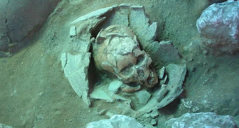 【拉皮塔文化(Lapita)】拉比塔人骨骸古DNA研究 萬那杜、東加原住民 可能來自台灣或菲律賓北部〔2016-10-05〕