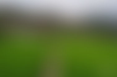 【菸葉王國--美濃】菸葉帶來可觀財富 培育出近400位美濃博士 走過百年專賣制度 台灣「綠色黃金」菸草功成身退〔2017-10-11〕
