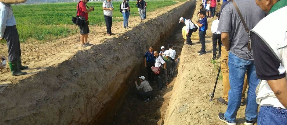 高雄新園農場排水道工程「貫穿」6000年前大坌坑文化遺址 環團疾呼暫停工〔2016-11-14〕