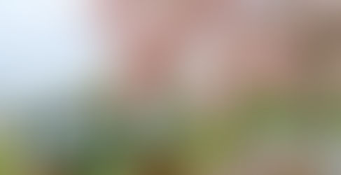 【水水的故事--二水鐵道櫻花季開幕】花旗木開始吐露粉紅花苞、即將綻放 媲美阿里山鐵道櫻花美景 追火車、賞花打卡祕境首次舉辦音樂季〔2022-03-19〕