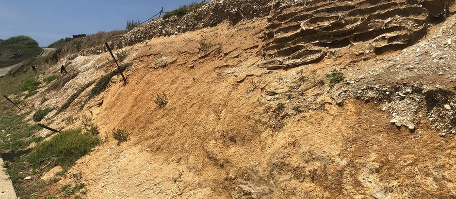 馬祖「亮島島尾考古遺址」 獲文化部指定為國家級考古遺址 8300年前的「亮島人」 可能也是南島語族祖先起源之一〔2021-06-29〕