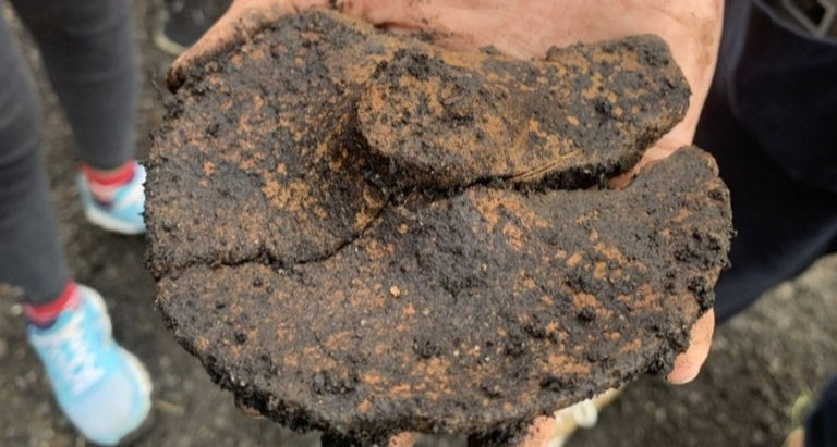 花蓮4500年前「嶺頂遺址」 遭人私自開挖拓寬道路 千年陶片裸露、碎落四散 文化局緊急搶救