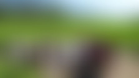 距今4000到2600年前 考古學者劉益昌:台東是史前南島語族首都 人們從這裡帶著台灣玉 到菲律賓、越南、柬埔寨、泰國等地〔2017-08-12〕