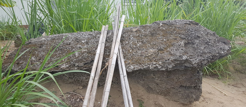 【荷蘭人遺骨或平埔族人墳墓?】台南神秘古棺群 裸露在農田裡 附近有間萬應公廟〔2010-08-31〕