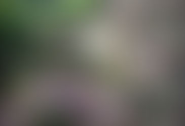 屏東牡丹高士石板屋舊社遺址 罕見人形石、磨刀處、洗水石 超過五百年歷史盼列文資〔2016-03-24〕