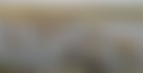 【台灣版「非洲大遷徙」再現】彰化芬園與台中烏日交界的「貓羅溪」 成群水牛、黃牛、乳牛渡河 「愛心」印記小牛接班〔2022-04-07〕