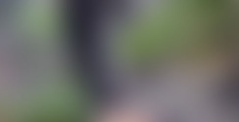 三萬年前的「八仙洞遺址」 最新考古挖掘進度 再找到十三個新洞口 挖到新石器時代陶片和動物骨骸〔2017-11-17〕