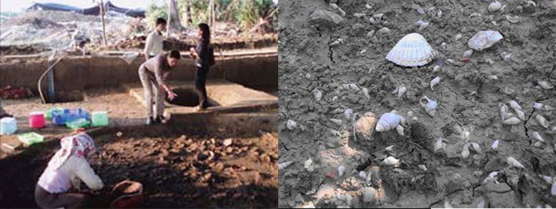 全台最大的考古遺址「西寮遺址」--西拉雅族麻豆大社與倒風內海遺跡 對台灣文化及歷史研究極為重要 面積初估是卑南遺址十倍大