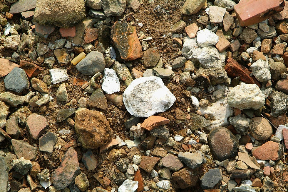 ree
