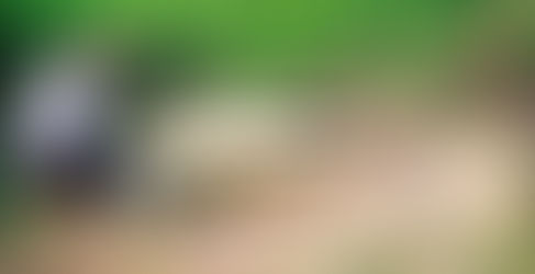 【考古台灣】小琉球發現4500年前石棺 學者研判屬牛稠子文化 與「墾丁遺址」有相同文化〔2020-11-29〕