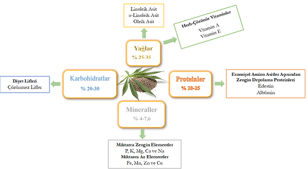 KENEVİR.png