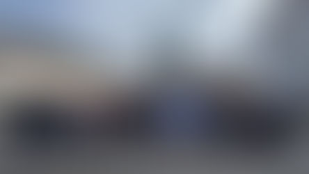 11th INTERNATIONAL CONGRESS ON “MULTIDISCIPLINARY SCIENTIFIC STUDIES AND GLOBAL PRACTICES”