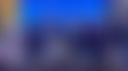 12th INTERNATIONAL CONGRESS ON MULTIDISCIPLINARY SCIENTIFIC STUDIES AND GLOBAL APPLICATIONS