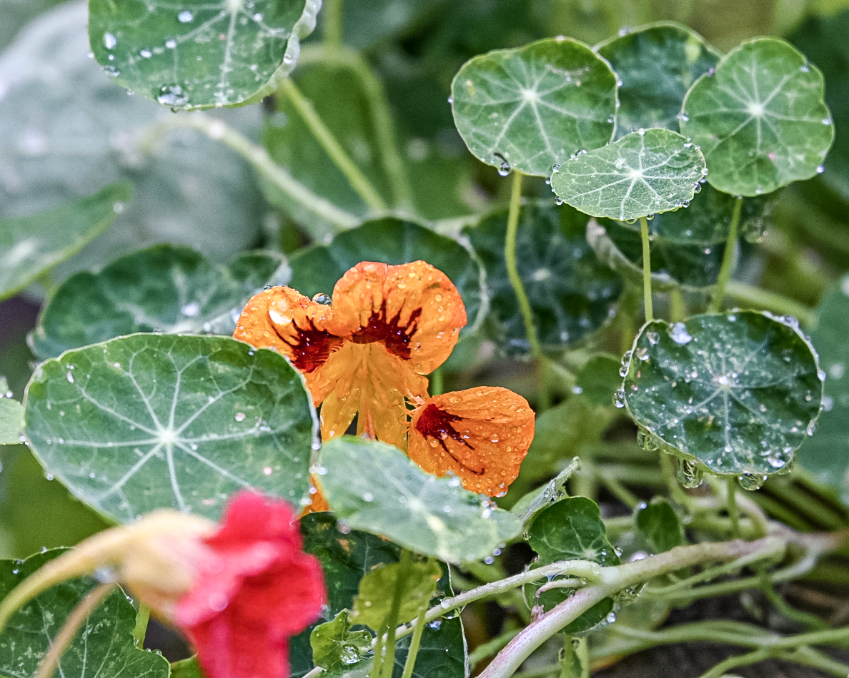 Z72_3410.webp