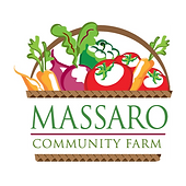 Massaro Logo Full Basket - Color - 72dpi