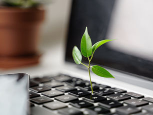 How AI Impacts Sustainability: Harnessing Technology for a Greener Future