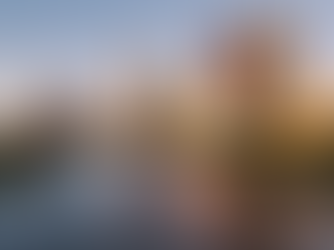 Exploring State Government AI Policies and Proposals: Delaware and Ohio