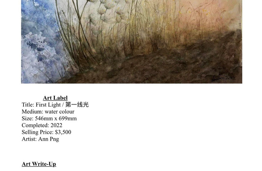 First Light / 第一线光