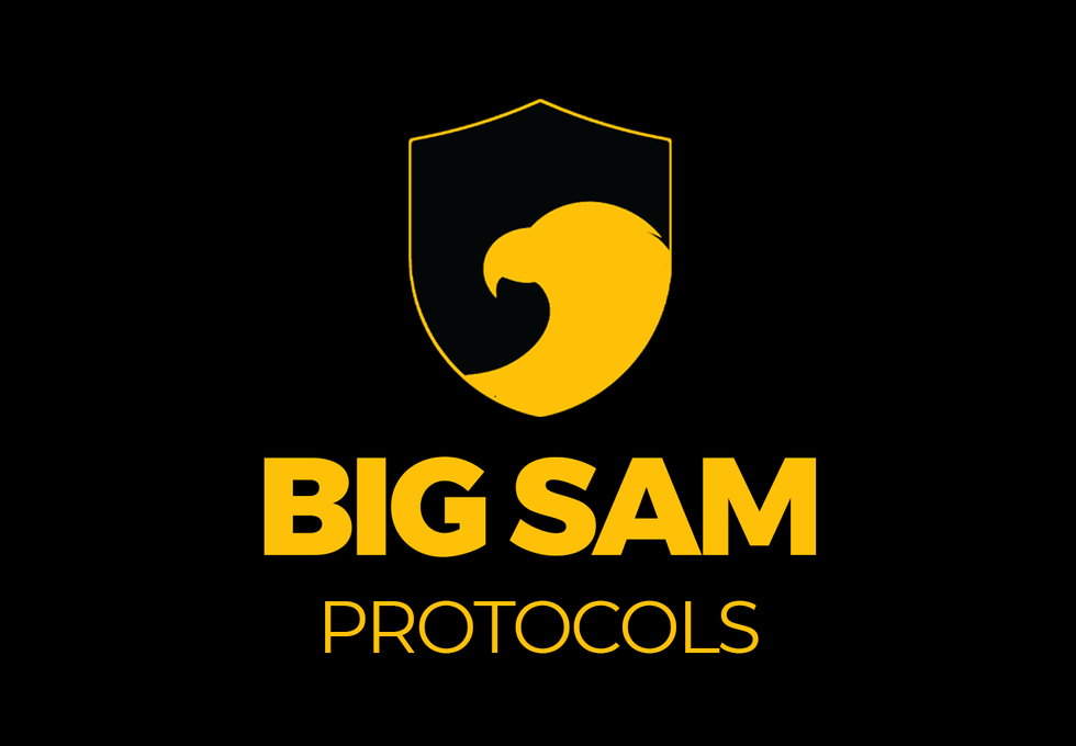BigSam-SlideSlide-3.png